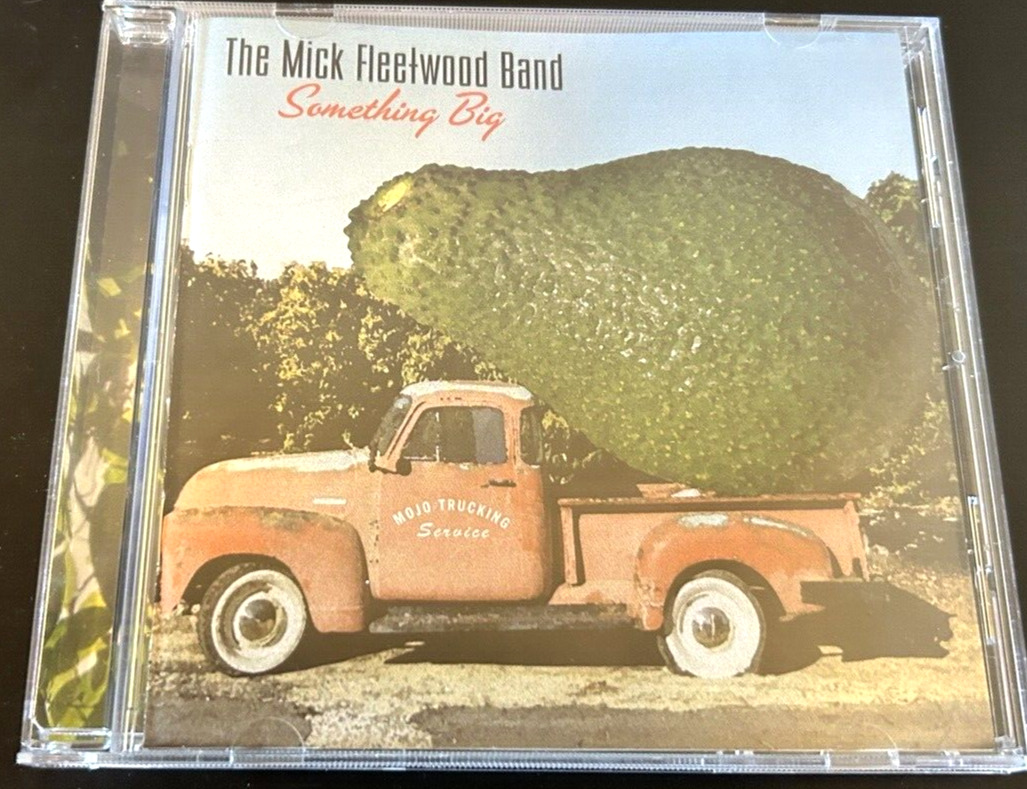 MICK FLEETWOOD BAND “SOMETHING BIG” CD 2004 NEAR MINT CONDITION