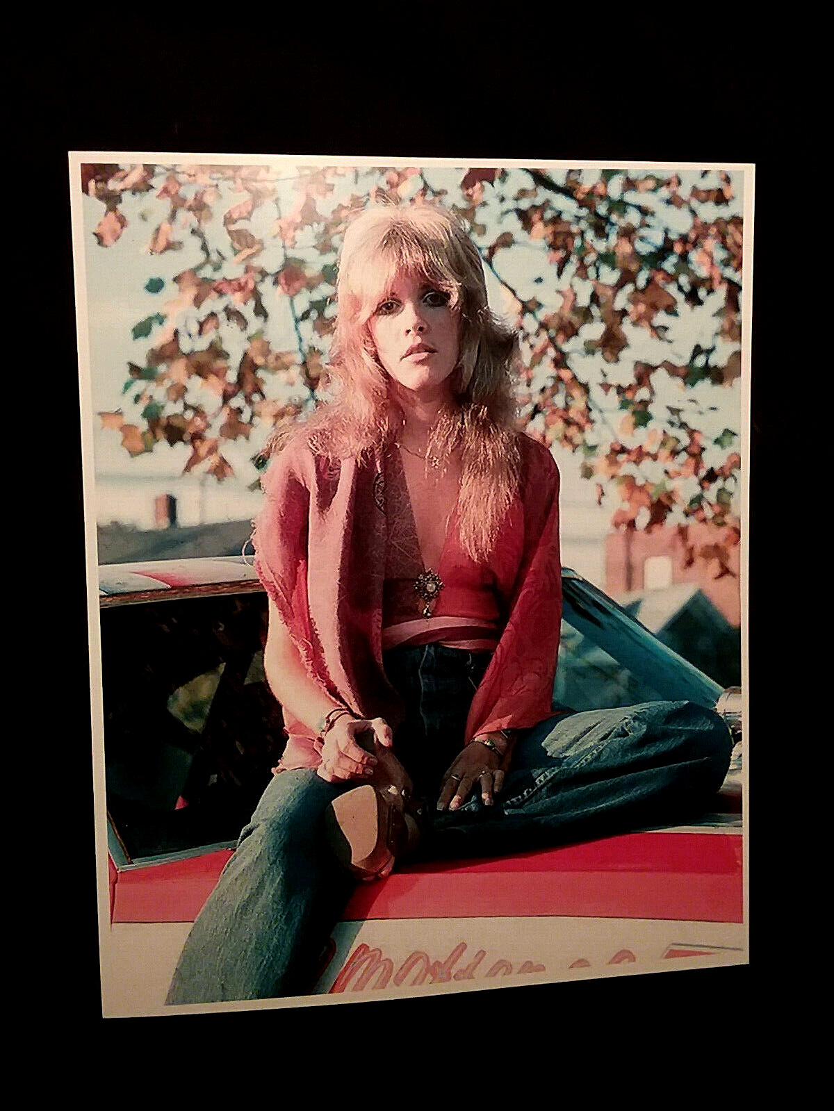 STEVIE NICKS 8 x 10 PHOTO ROCK Music Poster ~ Fleetwood Mac ~ Print Vintage