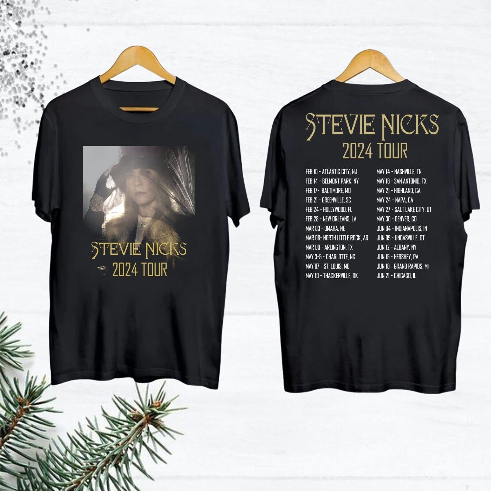 Stevie Nicks 2024 Live In Concert T-Shirt, Vintage Stevie Nicks Shirt Fan Gifts